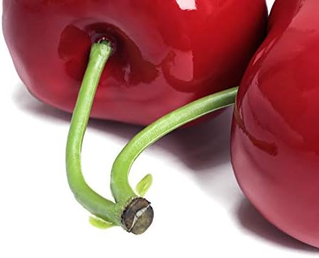 XINFU Big Double Cherry Play Food Decoration