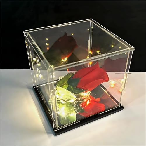 Clear Acrylic Display Case with Black Base for Collectibles
