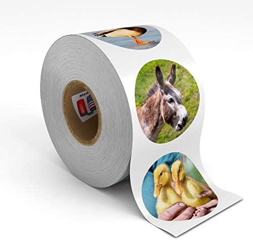 Kenco 500 Stickers Set for Kids and Students